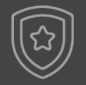 Safety, Security & Protection Badge